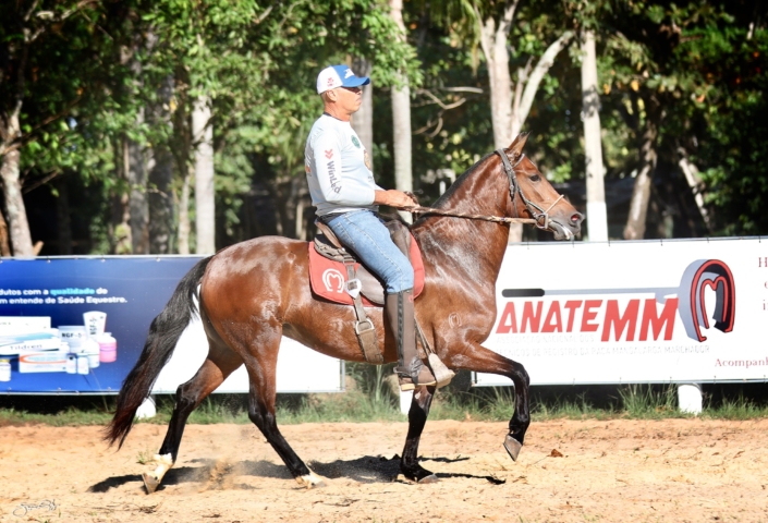 Amizade do Carmona da WT (3)