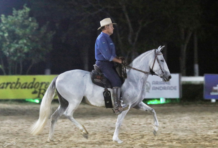 Escrava F1 do Riacho Fundo (15)