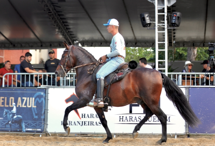 Habilidoso Rf1 (12)