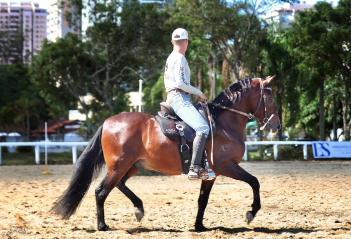 Habilidoso Rf1 (8)