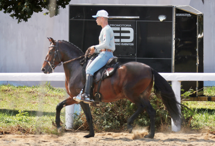 Habilidoso Rf1 (9)