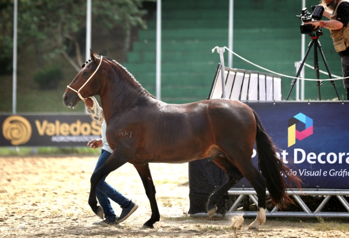 Impulso Nervoso (3)