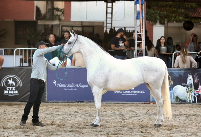 LANCHA ROMAIAN (3)