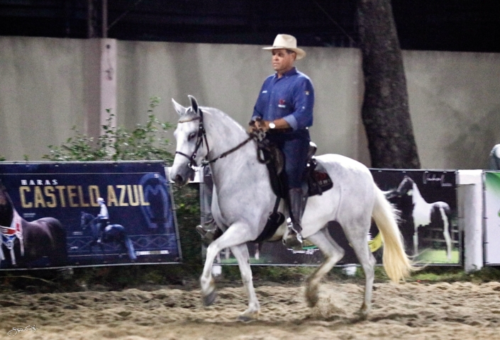 LANCHA ROMAIAN (5)
