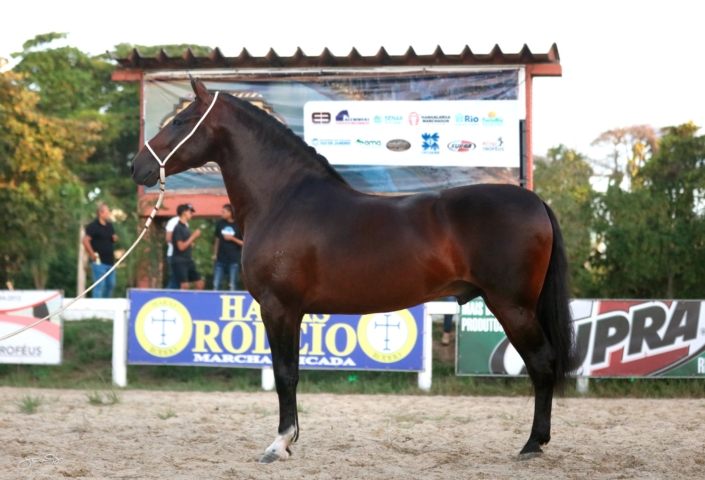Dodge lua de Prata (1)