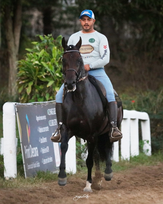 Dodge lua de Prata (10)
