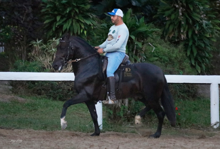 Dodge lua de Prata (11)