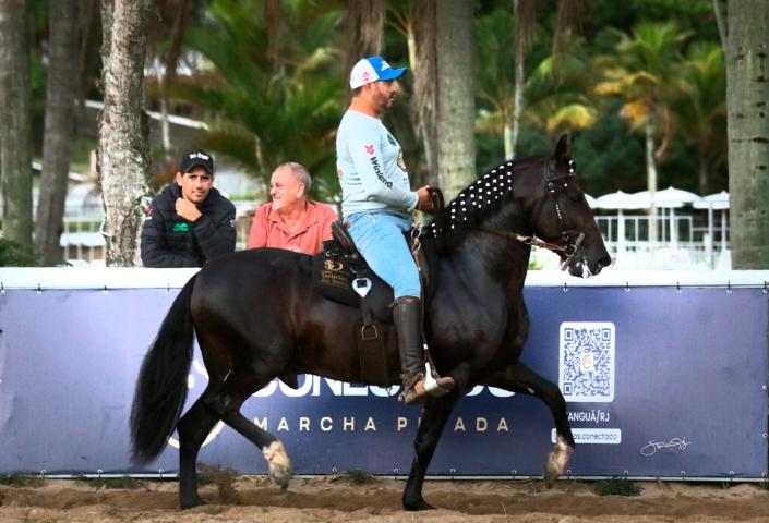 Dodge lua de Prata (13)