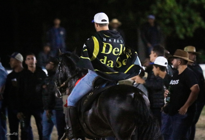 Dodge lua de Prata (14)