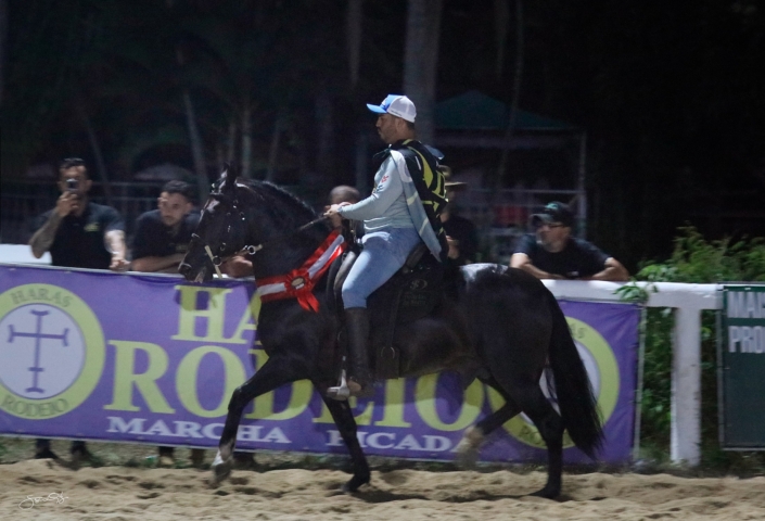 Dodge lua de Prata (15)