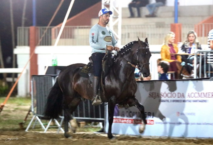 Dodge lua de Prata (17)