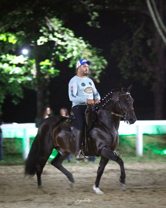 Dodge lua de Prata (19)