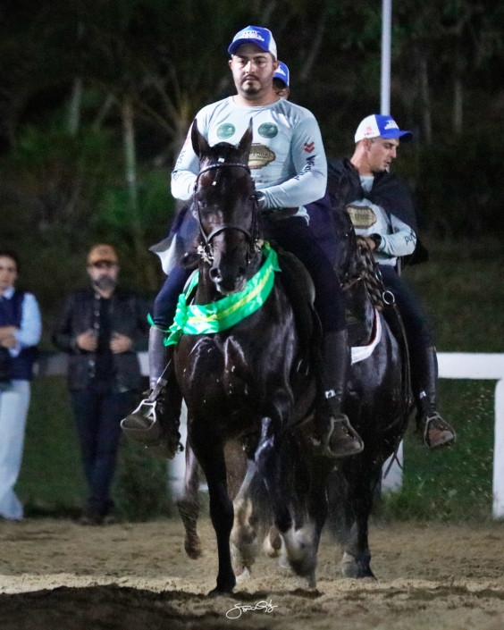 Dodge lua de Prata (20)