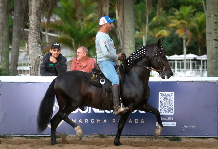 Dodge lua de Prata (6)