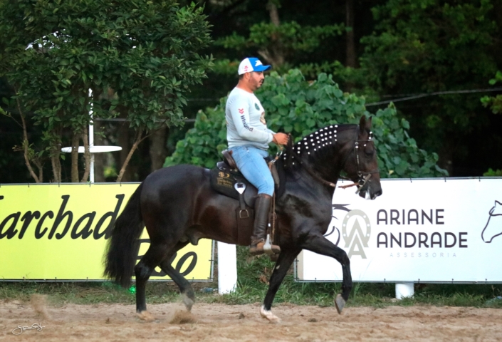 Dodge lua de Prata (7)