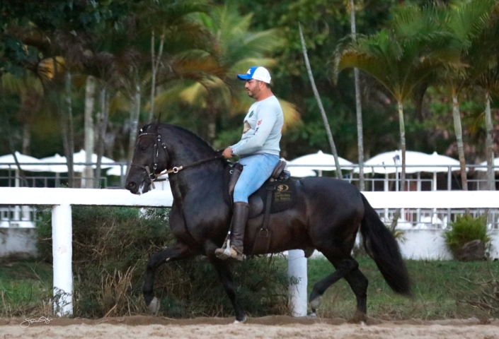 Dodge lua de Prata (8)