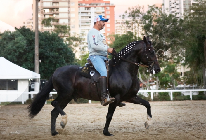 Dodge lua de Prata (9)
