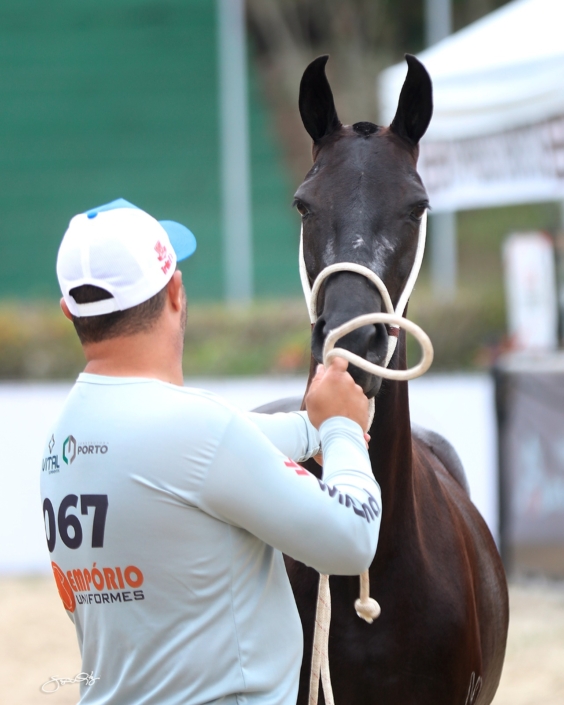 Escrava MJA (6)