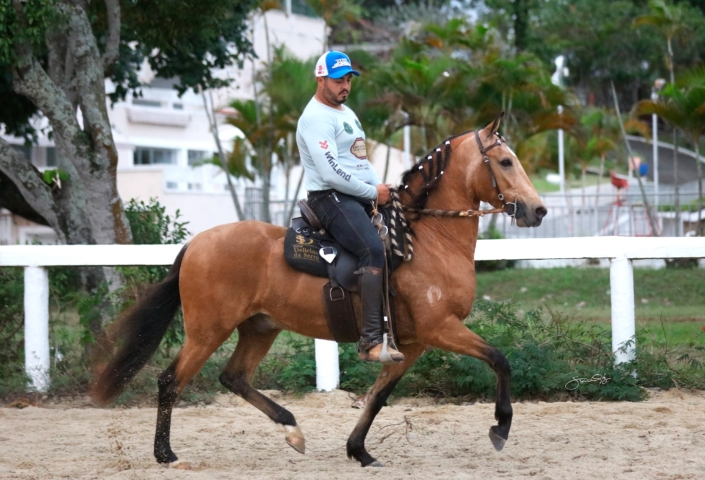 Lobo de Brotas (1)
