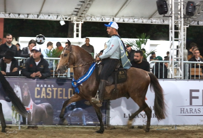 Lobo de Brotas (13)