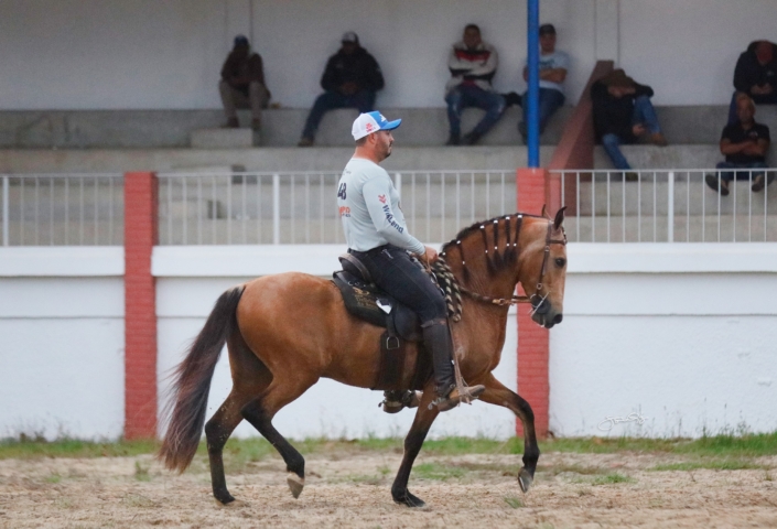 Lobo de Brotas (4)