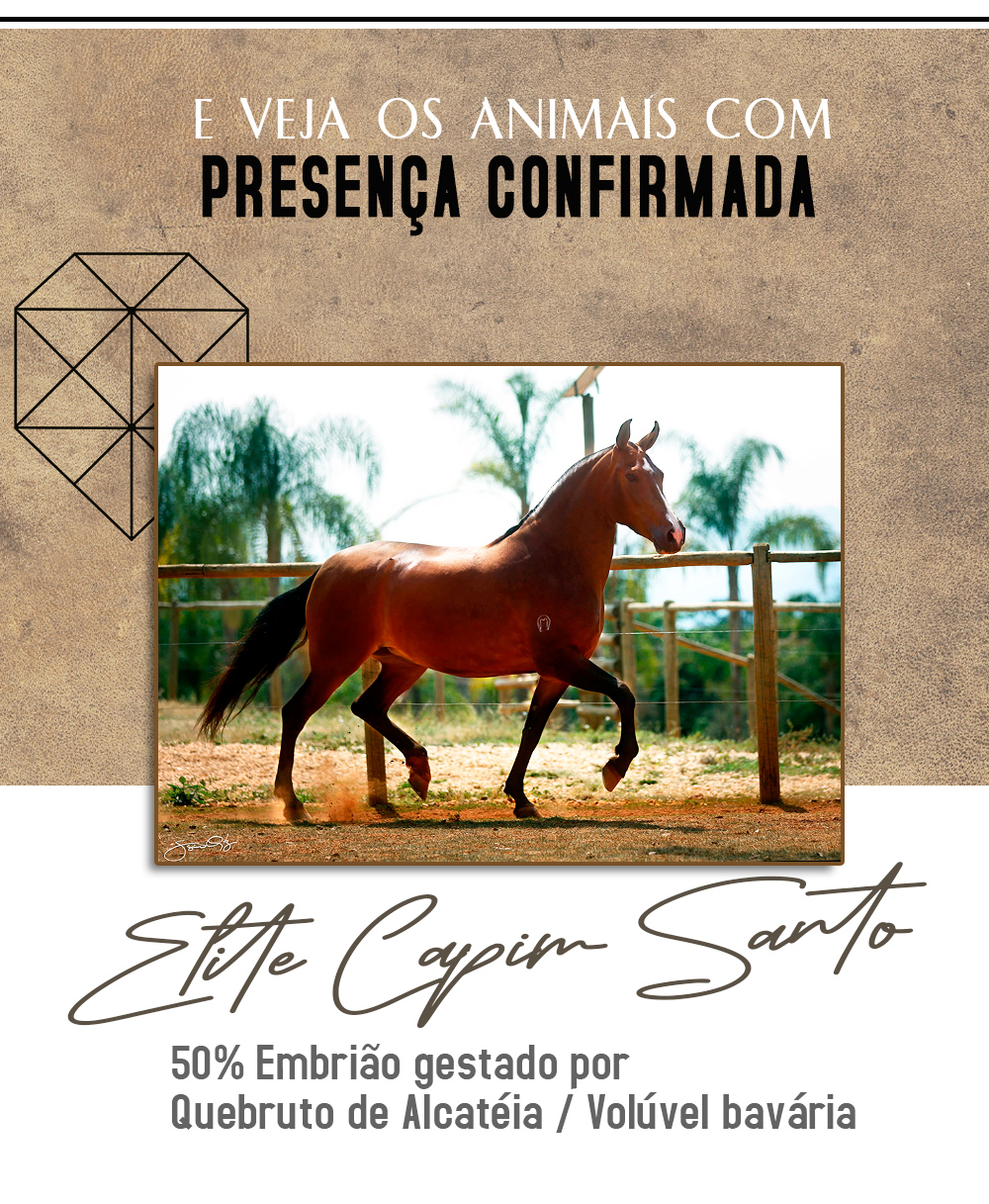 presença