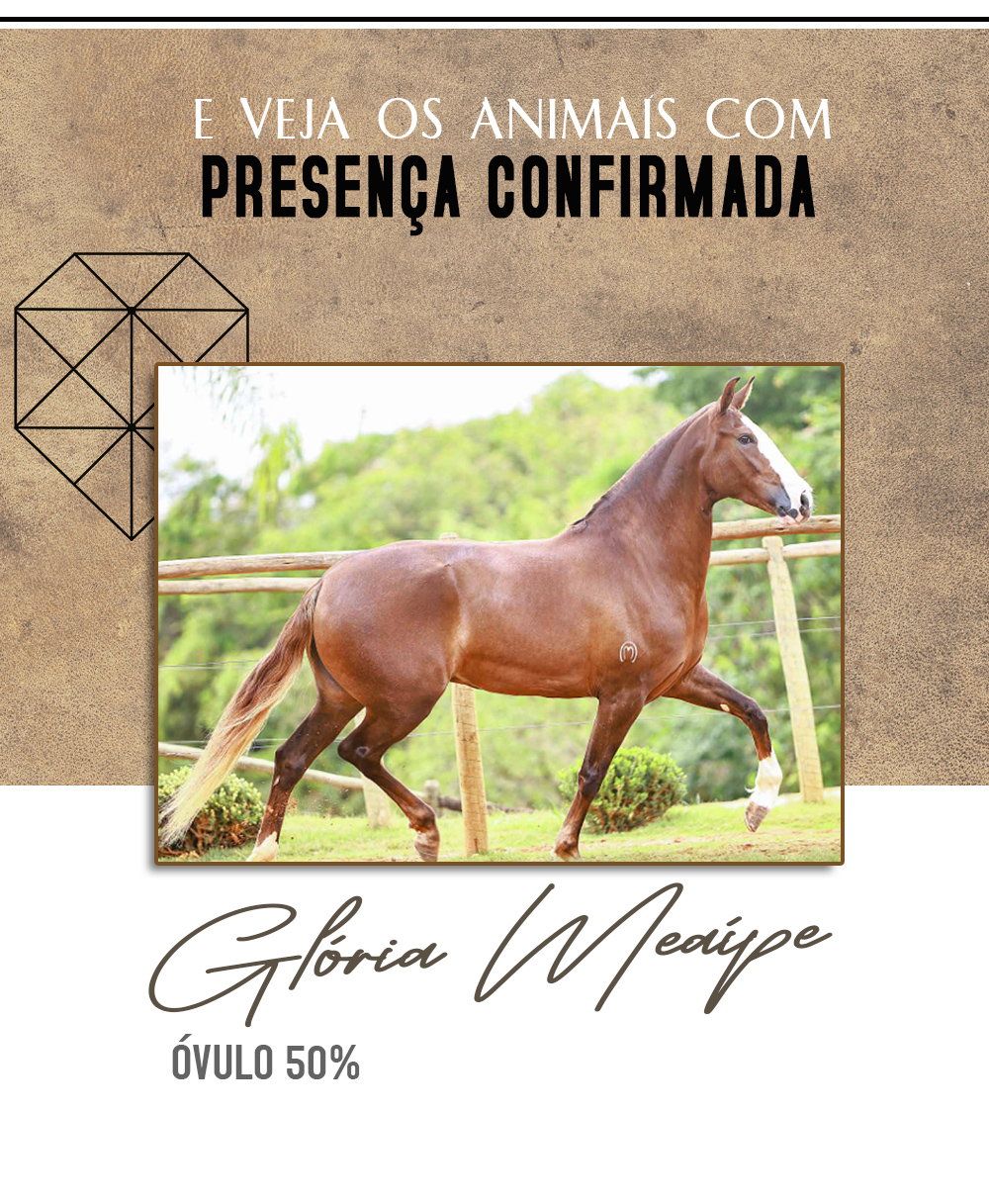 presença2