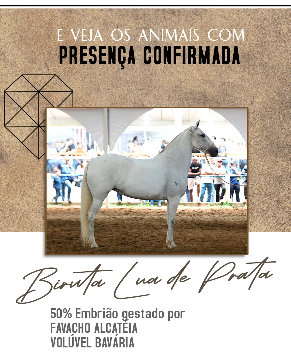presença3